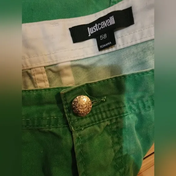 JUST CAVALLI DYED LIGHT GREEN STRAIGHT LEGGED PANTS SIZE 58 MENS RARE