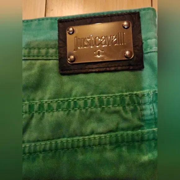 JUST CAVALLI DYED LIGHT GREEN STRAIGHT LEGGED PANTS SIZE 58 MENS RARE