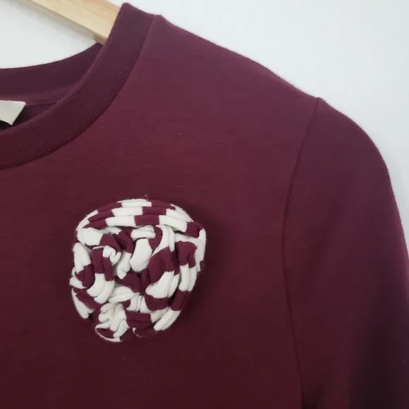 Kate Spade kid girl burgundy stripe dress size 10