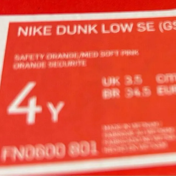 Kids' Exclusive Nike Dunk Low SE Everything You Need - Size  4Y