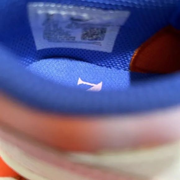 Kids' Exclusive Nike Dunk Low SE Everything You Need - Size  4Y