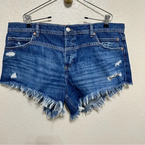 NEW Free people We The Free Westwood Hi-Low Shorts size 33