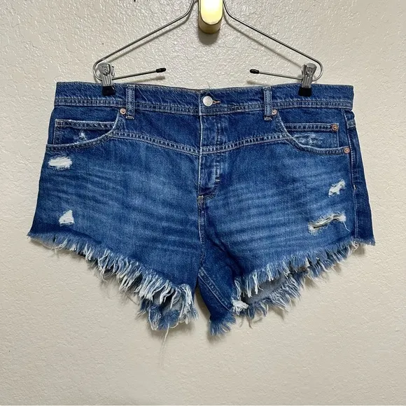 NEW Free people We The Free Westwood Hi-Low Shorts size 33