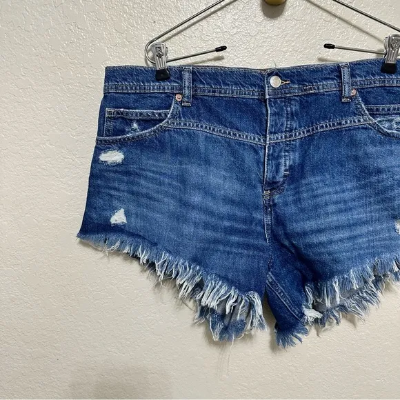NEW Free people We The Free Westwood Hi-Low Shorts size 33