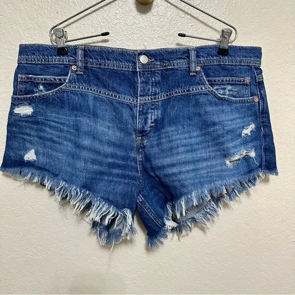 NEW Free people We The Free Westwood Hi-Low Shorts size 33