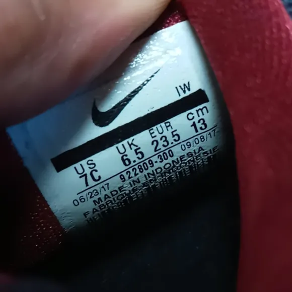 NIKE LEBRON XV (TD) TODDLER 922809-300 (7C)