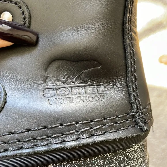 Sorel Joan of Arctic boots.