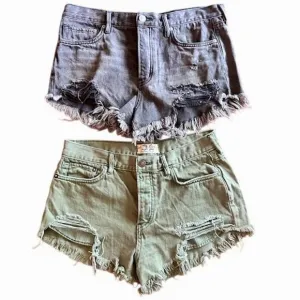 We The Free by Free People Distressed Shorts Bundle - Size 28